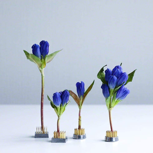 Wazakura 4PCS Mini Ikebana Kenzan Japanese Flower Holder, Made in Japan, Floral Arranging Pin Frog, Round Square - 1"(24mm) Brass...