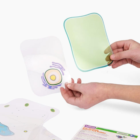 Plant Cell Anatomy Model, See Through Building Kit, Early Cell Biology and Life Science STEM Toys, Classroom Teaching Aid, Educational Learning Ac...