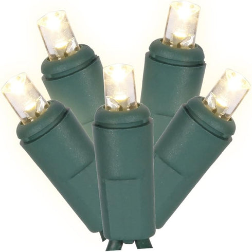 Vickerman 50 Light Wide Angle Warm White Twinkle LED Light Set on Green Wire...