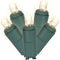 Vickerman 50 Light Wide Angle Warm White Twinkle LED Light Set on Green Wire...