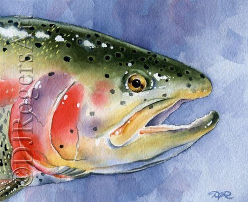 Fly Fishing Art RAINBOW TROUT Art Print by Artist DJ Rogers...