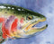 Fly Fishing Art RAINBOW TROUT Art Print by Artist DJ Rogers...
