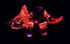 Garden Deco Glow in The Dark Pink Triceratops Hand Blown Art Glass Figurine Ornament Sculpture...