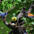 8 pc Miniature Bird & Nest Set: Perfect for DIY Fairy Garden, Car & Home Decoration!...