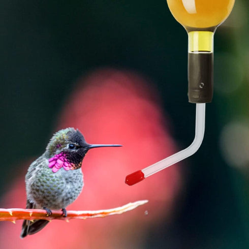 Yardwe 2pcs Hummingbird Feeder Tubes and Stoppers with BB Hummingbird Feeder Replacement Parts for Outdoor Making Your Own Bird Feeders...