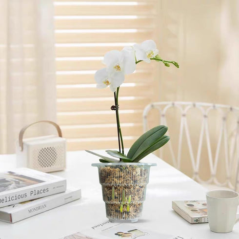 4 Inch Clear Orchid Pots with Holes and Saucers,Orchid Planter for Home Decoration - 6 Pack...