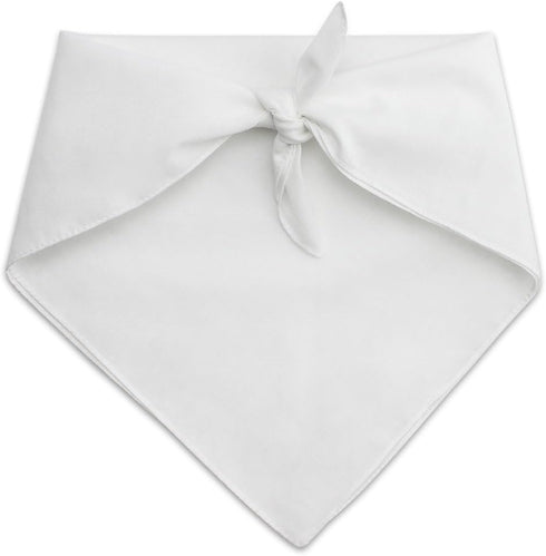 Willy Wonka and The Chocolate Factory Wonka Bar Logo Dog Pet Bandana...