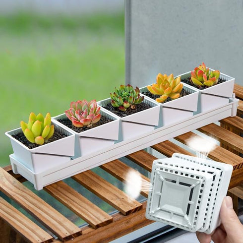 Breathable Succulent Pots with Air-pruning,Succulent Planters Keep Home Tidy & Clean,Plastic 3 Inch Cactus Pots,Set of 1 Windowsill Planter...