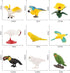 10 Pcs Simulated Bird Animals Parrot Model Figure Toys, Realistic Flamingo Birds Figurine Collection Playset Cake Toppers Gift for Kids Educationa...