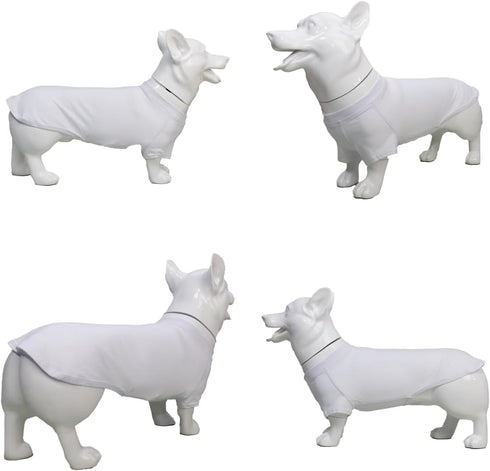 Lovelonglong Pet Clothing Dog Costumes Dachshund Clothes Blank T-Shirt Tee Shirts for Dachshund Dogs,Corgi 100% Cotton White D-XL...