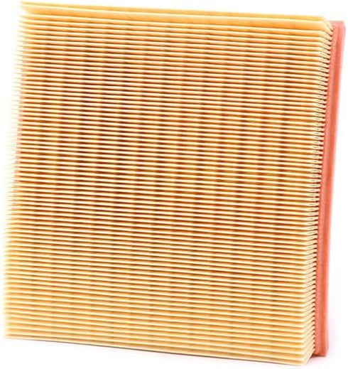 Mann Filter Mann-Filter C 2493 Air Filter...