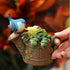 NWFashion Shower/Pot Cute Bird Stute Planter, Flower and Succulent Plant Pot for Indoor Outdoor...