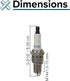 AlveyTech Affordable Spark Plug 6.5 HP Predator Engine Parts (Single) - Durable Copper Plug Uses .030 Gap, Replacement Parts for Baja MB165 & MB20...