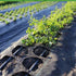 Agfabric Weed Barrier Landscape Fabric 4x6ft with Planting Holes, Hole Diameter 4", Hole Spacing 8", Row Spacing12 on Center...