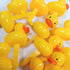 Oasis Supply Duck Picks, 12-Pack (Duck Pick (12 Count))...