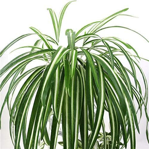 GWOKWAI 2Pcs Artificial Chlorophytum, 25.5in Faux Plant Hanging Basket Simulation Ivy Green Leaves Fake Wall Hanging Plants for Home Garden Office...