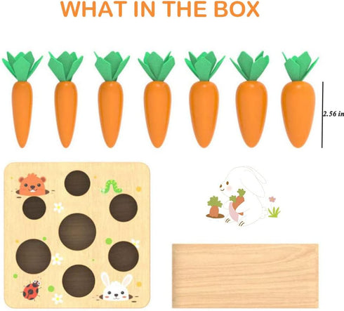Montessori Toys for 1 Year Old, Wooden Toys Developmental Shape Sorting & Matching Puzzle Carrots Harvest Game, Birthday Gifts for Toddlers Babies...