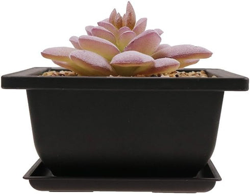 8PCS/Pack Retro Style Square Small Bonsai Training Pots with Tray, Mini Plastic Mocha Garden Flower Pot 4.7"...