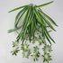 GWOKWAI 2Pcs Artificial Chlorophytum, 25.5in Faux Plant Hanging Basket Simulation Ivy Green Leaves Fake Wall Hanging Plants for Home Garden Office...