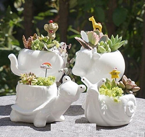 Cute Animal Succulent Planter Flower Pot Decor for Home Office Desk (Turtle)...