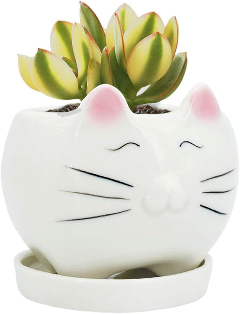 GeLive Cute Cat Succulent Planter Pot with Drainage Tray, White Ceramic Plant Container, Window Box, Unique Animal for Indoor Home Decor (White)...
