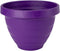 The HC Companies 10 Inch Rings Planter with Self Watering Disk - Lightweight Indoor Outdoor Plastic Plant Pot for Herbs and Flowers, Acai...