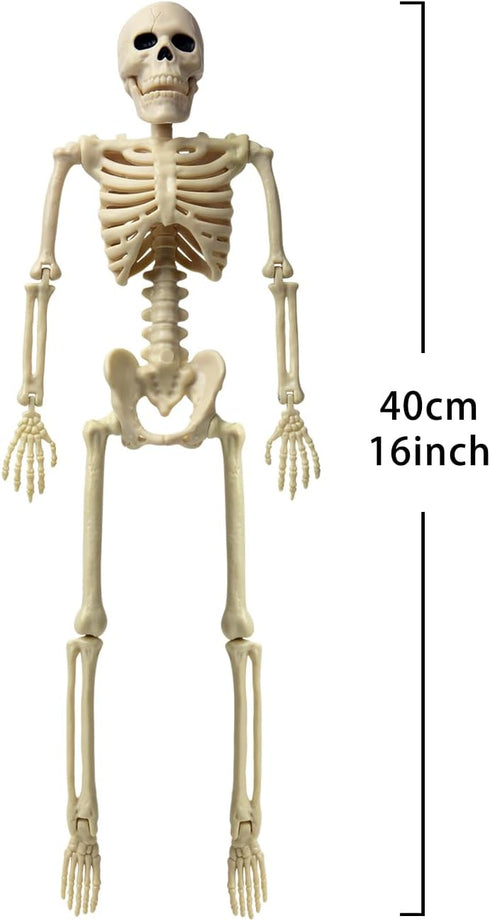 16" Halloween Skeleton Decorative,Spooky Lawn & Haunted House Props with Posable Joints,Full Body Skeleton for Yard Garden Lawn Graveyard Props De...