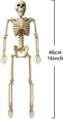16" Halloween Skeleton Decorative,Spooky Lawn & Haunted House Props with Posable Joints,Full Body Skeleton for Yard Garden Lawn Graveyard Props De...