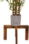 Hewnda 1 Pack Wood Plant Stand,Brown Mid Century Modern Planter Stands,12 Inches Indoor small plant stands?Suitable for succulents, low plants...