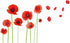 Esmee DIY Red Poppies Beautiful Flowers Vines Stick Wall Decals, Living Room Bedroom Children Room Nursery...