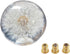 Gear Shift Knob Crystal Ball with Dandelions Flowers Car Shift Knobs Gear Shifter Knob with 3 Adapters fit for Most Manual Transmission or Automat...