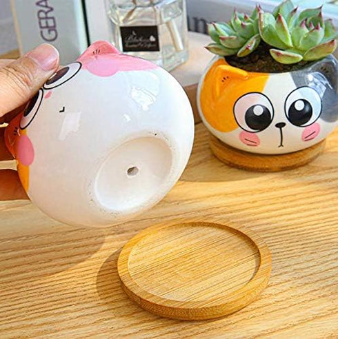 Cute 3.5 Inches Indoor Cartoon Animal Cat Shaped Ceramic Succulent Cactus Flower Plant Pots with Bamboo Tray (Plant Not Included) (Yellow)...