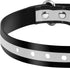 PetJoy Shock Collar Replacement Collar Strap, E Collar Replacement Strap, 8-27 Inches Adjustable Classic Dog Collar Strap for Small Medium Large D...