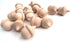 Nakpunar 25 pcs Wood Acorns - Unfinished Wood for Painting, Waldorf Doll Making...