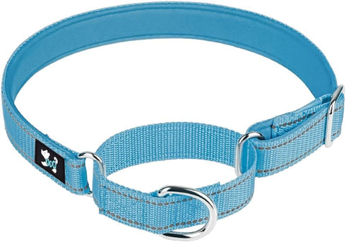 Martingale Heavy Duty Nylon Dog Collar, Soft Neoprene Padded Breathable Nylon Pet Collar for Small Medium Large Dogs (S, Blue)...