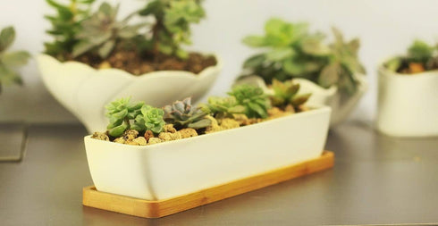10.8inch White Ceramic Long Rectangular Succulent Planter Pot,Cactus Flower Planters Pots Container for Office,Window,Kitchen and Balcony...