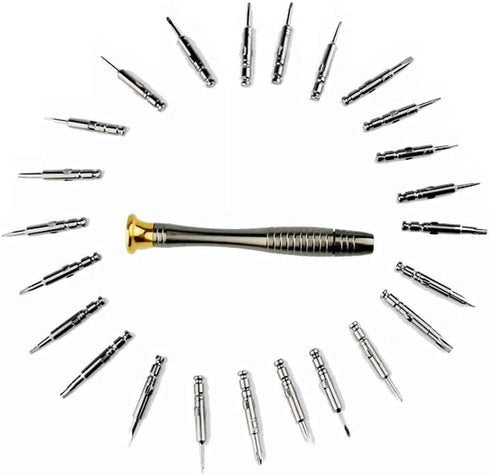 25PCS Mini Screwdriver Set with Case, Precision Screwdriver Kit with 6 Different Size Flathead and Phillips Screwdrivers, Perfect mini Screwdriver...