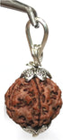 5 Face Rudraksha Pendant/ 5 Mukhi Rudraksha Pendant |Certified|...