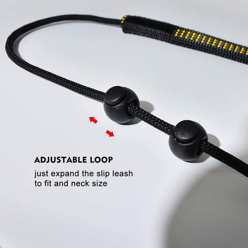 Dog Ultra-fine Leash,slip leads for dogs,Pet Training Leash,Training ?leading and holding suitable for Small,Medium or Large Dogs (orange, 1.1M lo...