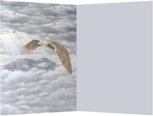 Tree-Free Greetings ECOnotes Notecard Set, 4 x 6 Inches, 12-Count Notecards with Envelopes, Eagle Spirit (66685)...