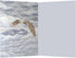Tree-Free Greetings ECOnotes Notecard Set, 4 x 6 Inches, 12-Count Notecards with Envelopes, Eagle Spirit (66685)...