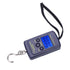 Fish Scales Digital Weight, Hanging Weight Scales, Portable Plastic Electric Balance Digital Fishing Postal Hanging Hook Scale Load 40kg with Lcd ...