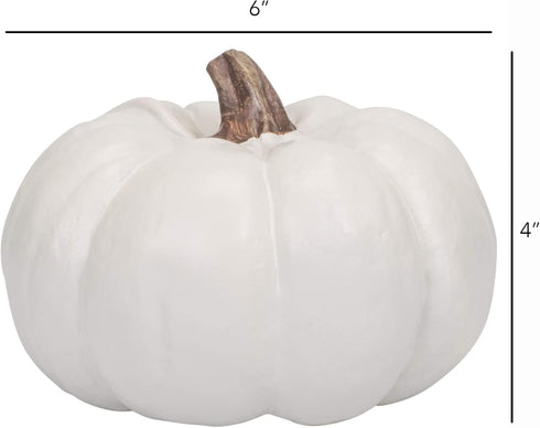 Elanze Designs Classic White 6 inch Resin Harvest Decorative Pumpkins Pack of 2...