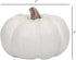 Elanze Designs Classic White 6 inch Resin Harvest Decorative Pumpkins Pack of 2...