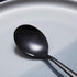 Berglander Black Dinner Spoon Set of 4, Stainless Steel with Titanium Plating...