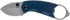 Kershaw Antic Folding Pocket Knife; 1.75-Inch 8Cr13MoV Stainless Steel Bead Blasted Blade, Stainless Steel PVD Coated Handle, Manual Opening, Bott...