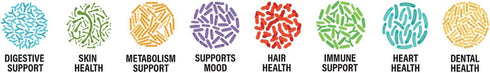 Probiotic Capsules 60 Billion Cfu's | MAKTrek Bipass Technology | Digestive & Immune Support 120 Capsules...