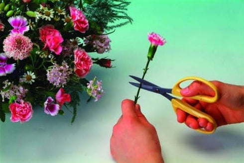 Chika masa arrange scissors fluorine Blue CRI-360SFB (japan import)...