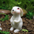 4Pcs Cute Rabbit Miniature Figurines and Cute Squirrel Decorative Fairy Garden Accessories Hand Drawn DIY Miniature Garden Decoration for Rooftop ...