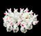 Art&Beauty 24pcs Mini Resin Rabbits Easter Bunny Miniature Figurines Fairy Garden Miniature Moss Landscape DIY Ornaments Decorations Succulents Pl...